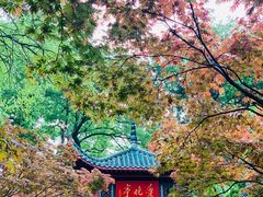 -岳麓山风景名胜区