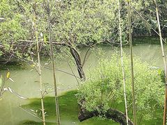-杭州植物园