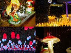 -巨鹏飞梦幻海岸