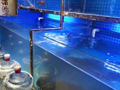 水产区-姜君·千岛湖鱼头馆(浦东大道店)
