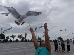 -东港音乐喷泉广场