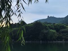 -杭州半山国家森林公园