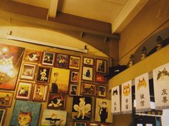 -猫咪博物馆(顶澳仔猫街店)