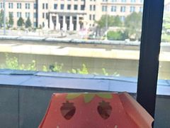 -麦当劳(军博店)