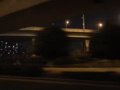 -洋湖国家湿地公园