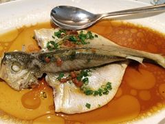 -维园悦谱·海派家常菜(乌鲁木齐南路店)