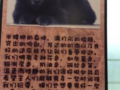 -猫咪博物馆(顶澳仔猫街店)