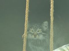 -青藏高原野生动物园