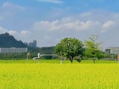 -光明小镇欢乐田园