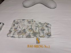 -宝生月子中心(独栋园林·福田店)