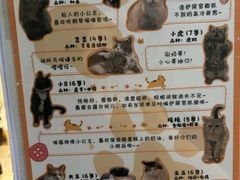 -小时光咖啡馆(北锣鼓巷店)