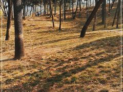 -元大都城垣遗址公园