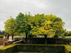 -阿尔罕布拉宫