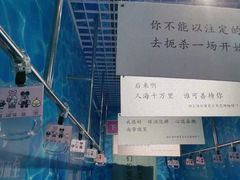 -上海外滩星空失恋减压馆(外滩旗舰馆)