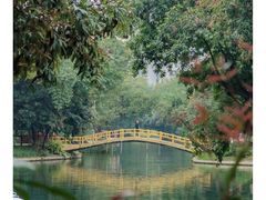 -晓港公园
