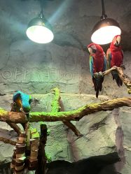 -Zoolung Zoolung动物主题公园(海信广场店)