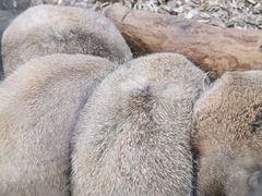 -海合安武汉极地海洋公园