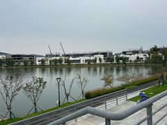 -羊山湖公园
