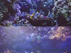 -海合安青岛极地海洋公园