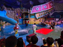 -烟台海昌鲸鲨海洋公园