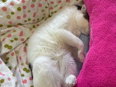-建哥老菜馆(瑞达公寓一店)