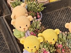 -龙大花卉苗木市场