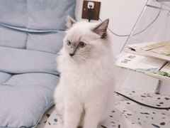 -FULL MOON满月咖啡