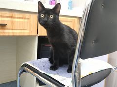 -佑安动物医院·全科·内窥镜中心(幸福巷店)