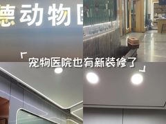 -pd派德宠物中心医院24H急重症·眼科中心·血液透析中心(嵩山北路店)