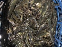 -海峡水产品交易中心(海鲜交易区)