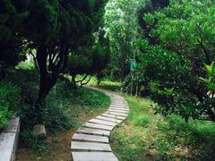 -青岛崂山太清宫