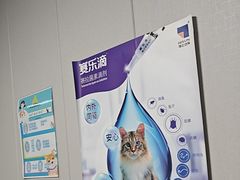 -半岛宠物医院24小时(科华中路店)