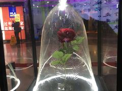 -天幕新彩云国际影城(激光巨幕店)