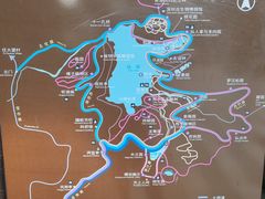 -深圳仙湖植物园