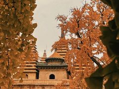 -北京石刻艺术博物馆(五塔寺)