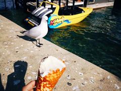 -Patagonia Chocolates(皇后镇店)