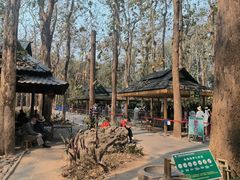 -中国科学院西双版纳热带植物园