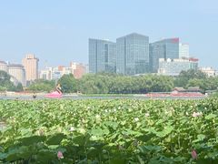 -莲花池公园