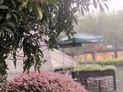 -星巴克(朵云轩店)