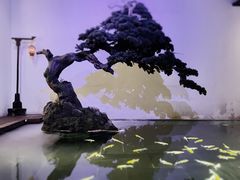 -觀芷隐轩