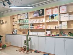 -猫十亿·布偶金渐层·曼基康矮脚猫舍(青年路店)