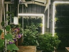 景观位-汇璟•海鲜青岛菜