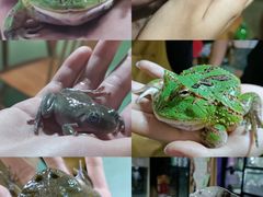 -藦茜花园宠物主题亲子互动体验馆(国顺东路店)