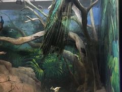 -福州罗源湾海洋世界旅游区