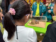 -正佳雨林生态植物园