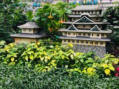 -南宫五洲植物乐园