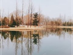 -北坞公园