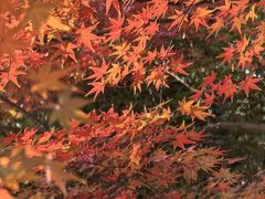 -天鹅湖体育公园
