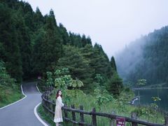 -武陵山森林公园