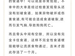 -瑞派申生动物医院·24H夜诊·国际动物医疗中心·骨外科(吴中路店)
